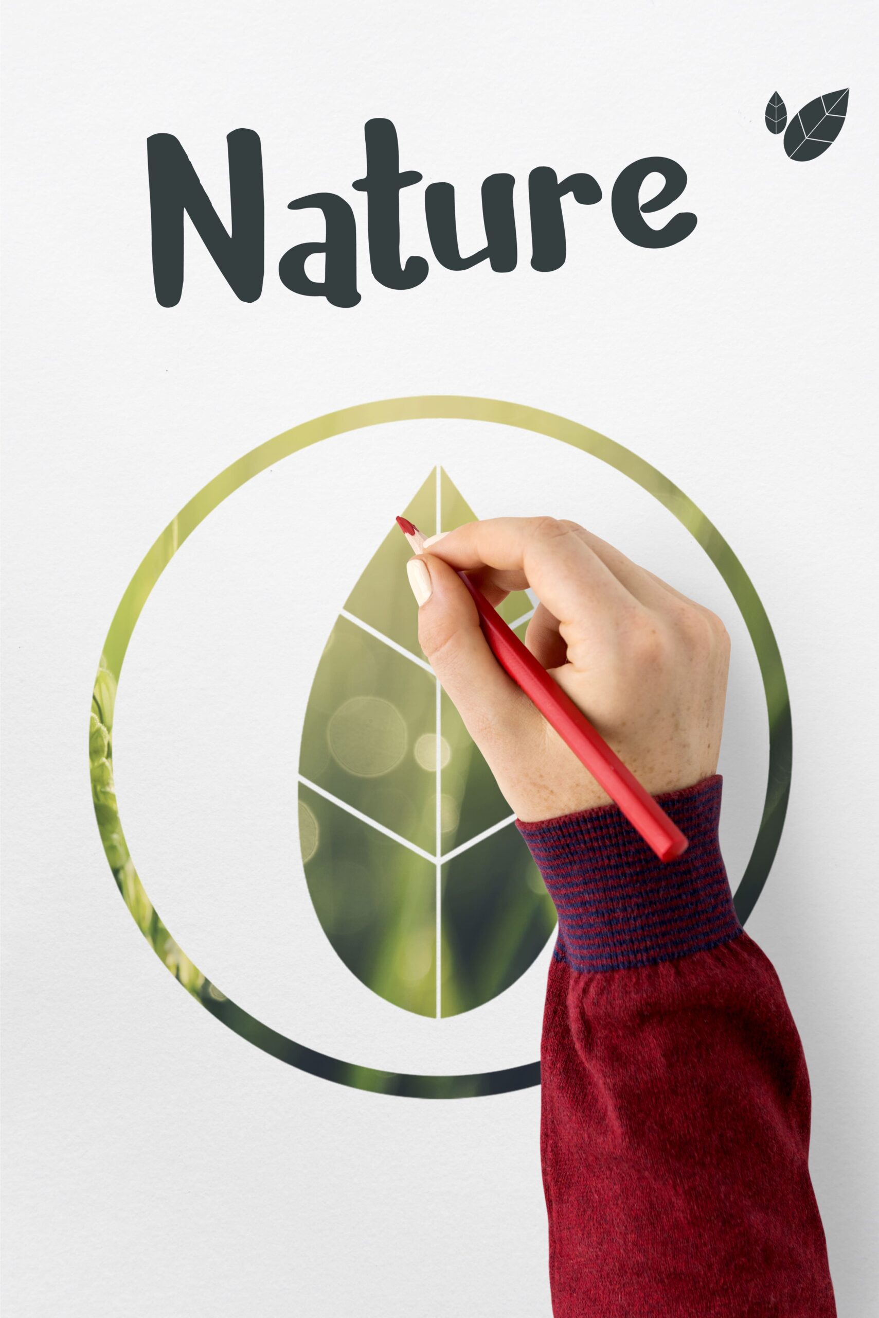 ecology environment save earth organic (1)